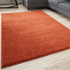 Fluffy Shaggy Area Rug Soft Pile — Runner Carpet for Living Room Bedroom Kitchen