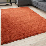 Fluffy Shaggy Area Rug Soft Pile — Runner Carpet for Living Room Bedroom Kitchen